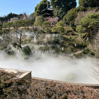 一時間に数回、お庭に雲海があらわれます。