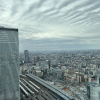 披露宴会場からの眺め