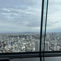 ゲストの待合室からの眺め