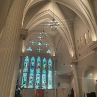 聖堂の天井