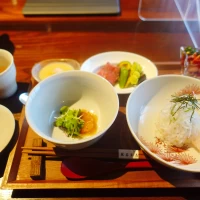 お料理はどれも繊細な美しさがあります