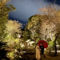 夜のお庭