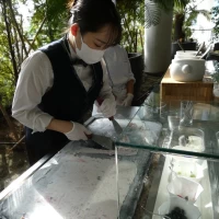 デザートブッフェ