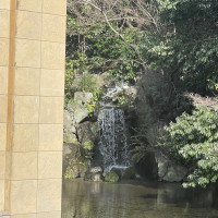 仏前式会場から見える滝