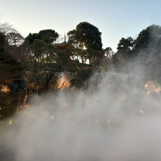 庭園の雲海