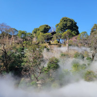 庭園。雲海は1時間に数回だそうです。