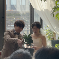 結婚証明の植樹