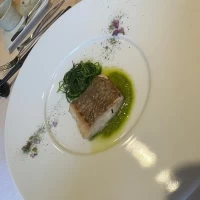 ゲスト料理