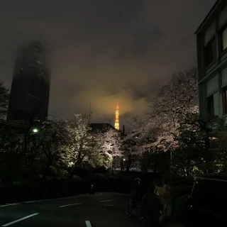 窓から見える東京タワー