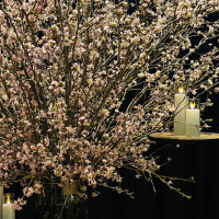 桜の演出、レンタルキャンドル