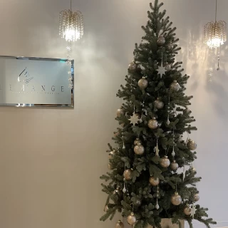 クリスマスツリーを準備してくださいました。