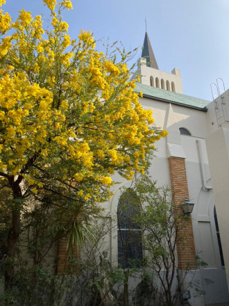 マリーゴールド ガーデンヒルズ