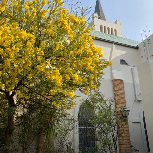 マリーゴールド ガーデンヒルズ