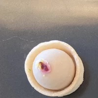 前菜のうちの1つです。