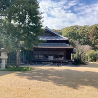 冬でも椿など綺麗でした