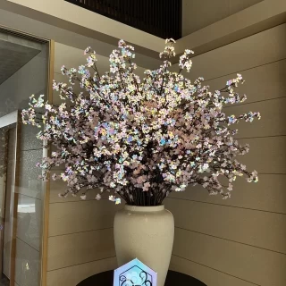 フラッシュ有りで撮った写真