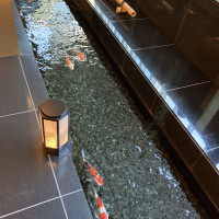 ホテル館内に鯉が泳いでます