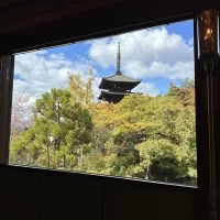 会場から見える景色