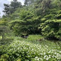 挙式会場に向かうガーデンです。