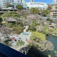 会場から見える景色
春なので桜が綺麗です