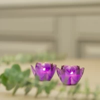 キャンドルリレーのキャンドル