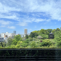 披露宴会場から見える庭園の風景