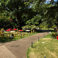 ホテル敷地内の日本庭園