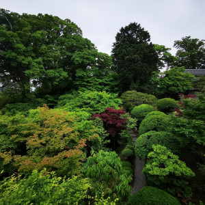 中庭|659589さんの辻家庭園 ～前田家家老旧横山家迎賓館～（金沢市指定文化財）の写真(1786010)