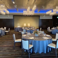 コスモス　という名の会場