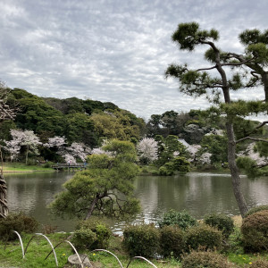 三溪園の敷地内の庭園|659694さんの三渓園 鶴翔閣（横浜市指定有形文化財）の写真(1786992)