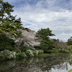 三溪園の敷地内の庭園|659694さんの三渓園 鶴翔閣（横浜市指定有形文化財）の写真(1786991)