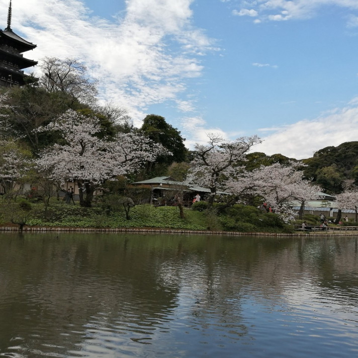 三溪園の敷地内の庭園