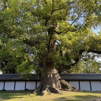 披露宴会場『神館』