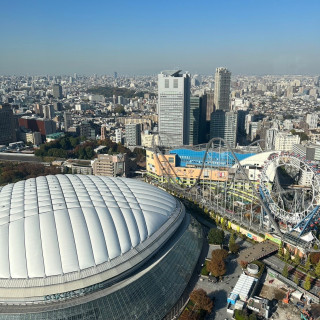 昼間の見える風景です。