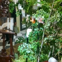 会場前のウェルカムスペース。ここにも緑がたくさんありました