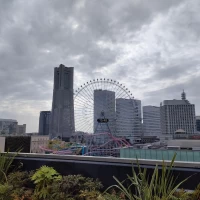 屋上からの景色
