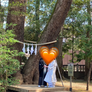 夫婦楠|660226さんの武蔵一宮氷川神社の写真(1792172)