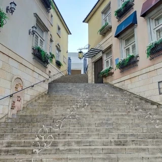 外観(道路沿い)