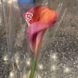会場にあったお花をプレゼントとして頂きました