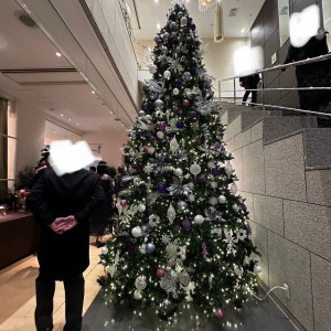 クリスマスツリー|660997さんのアプローズスクエア東京迎賓館の写真(1997758)