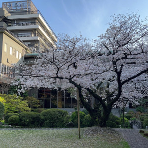 庭園|661020さんの久留米 萃香園ホテルの写真(1797899)