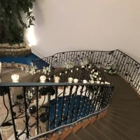 階段からの観望