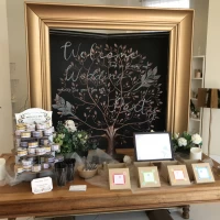 入口の展示品