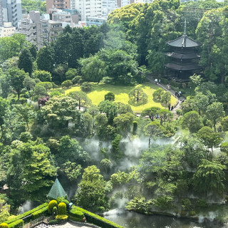 披露宴からのお庭の景色です。