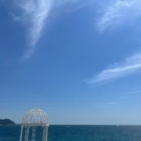 庭からの景色