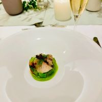前菜の上部写真です。