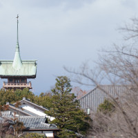 お庭からの眺め