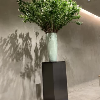 季節の花