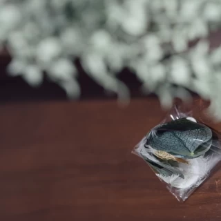 リーフシャワー
