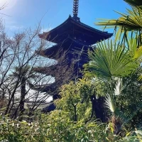 会場内から見える景色